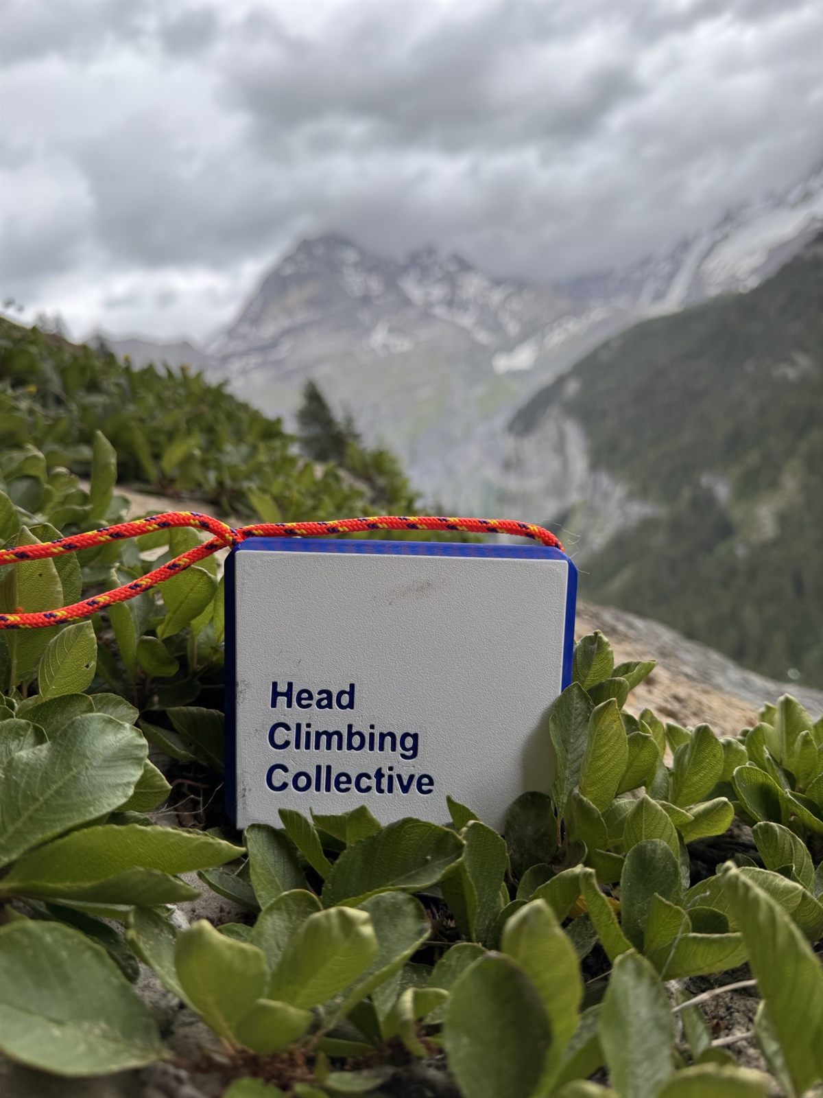 TriEdge Crimp Block resting in alpine plants with mountains behind